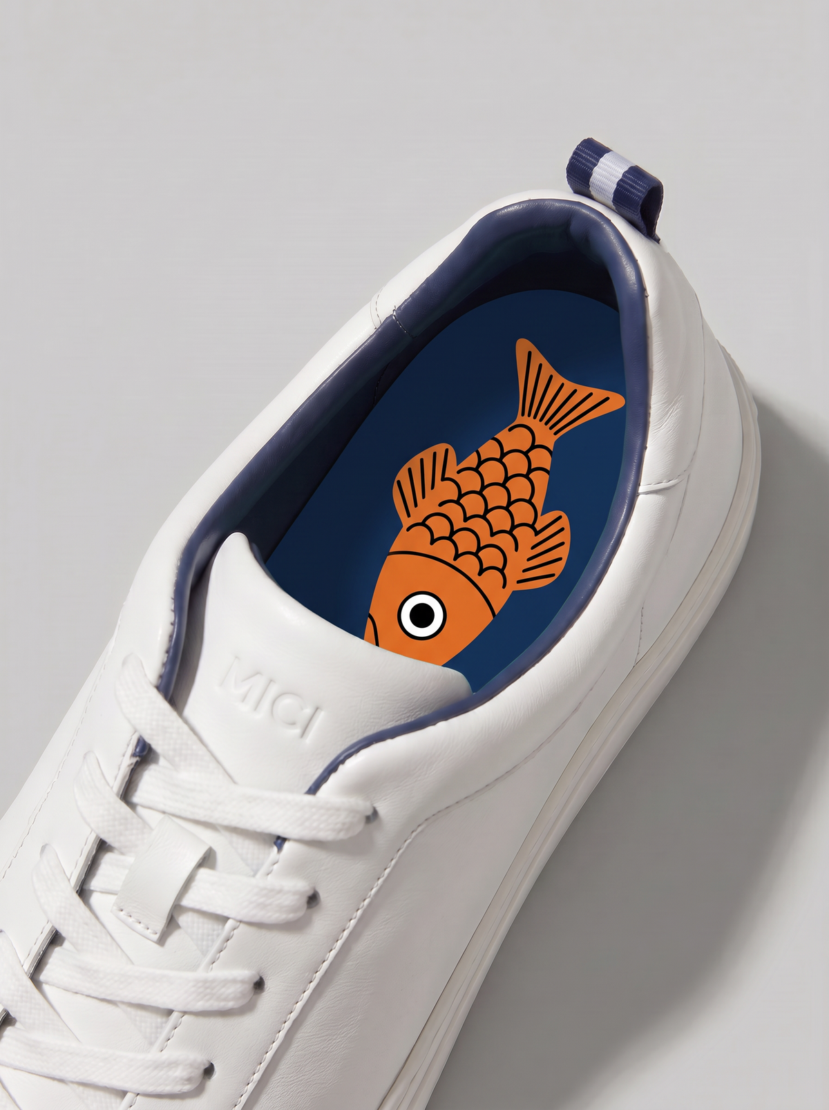 Koi the Fish