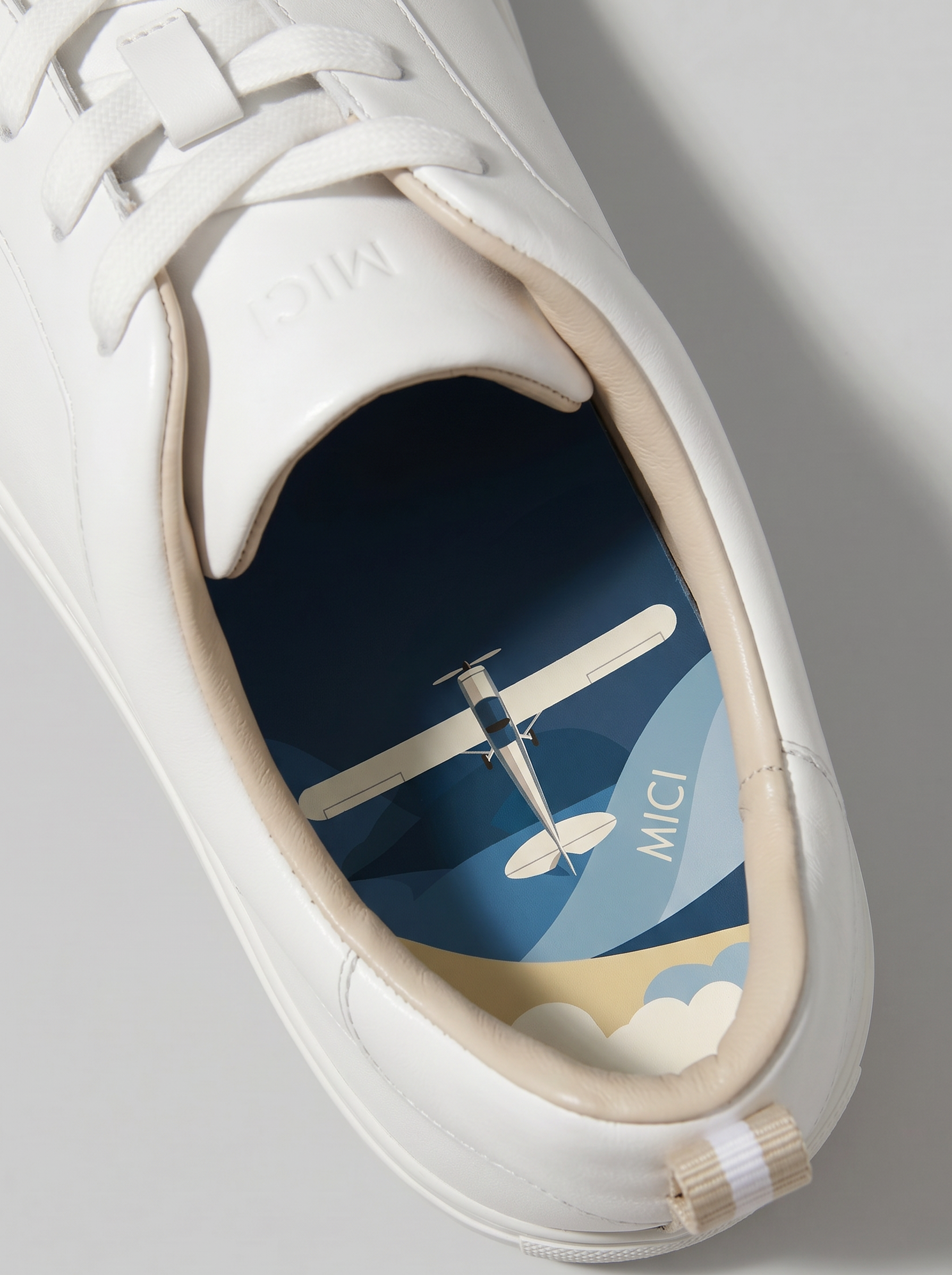 Alto the Plane