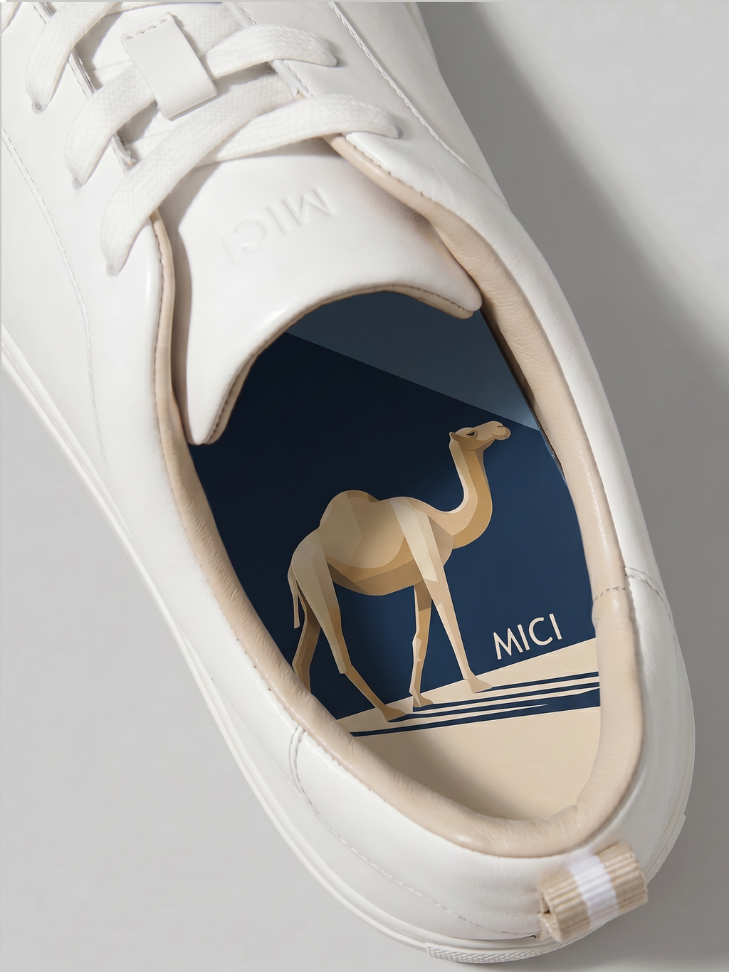 Sahir the Camel