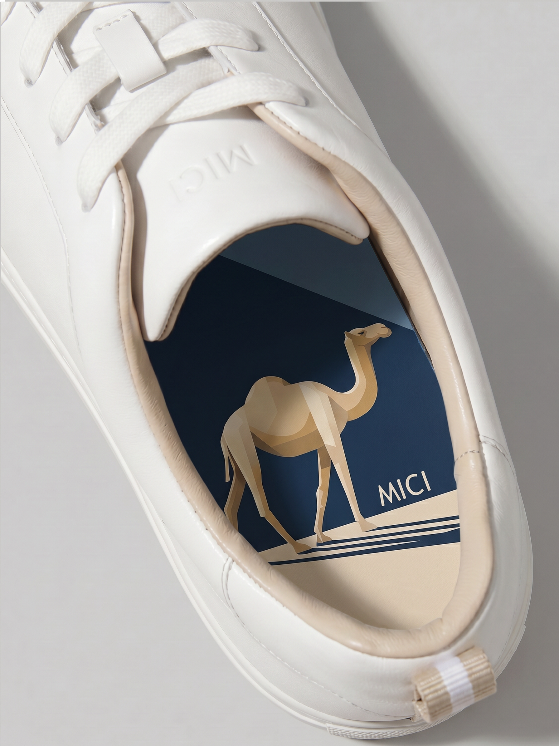 Sahir the Camel