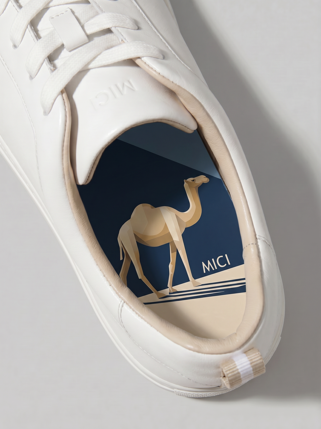 Sahir the Camel