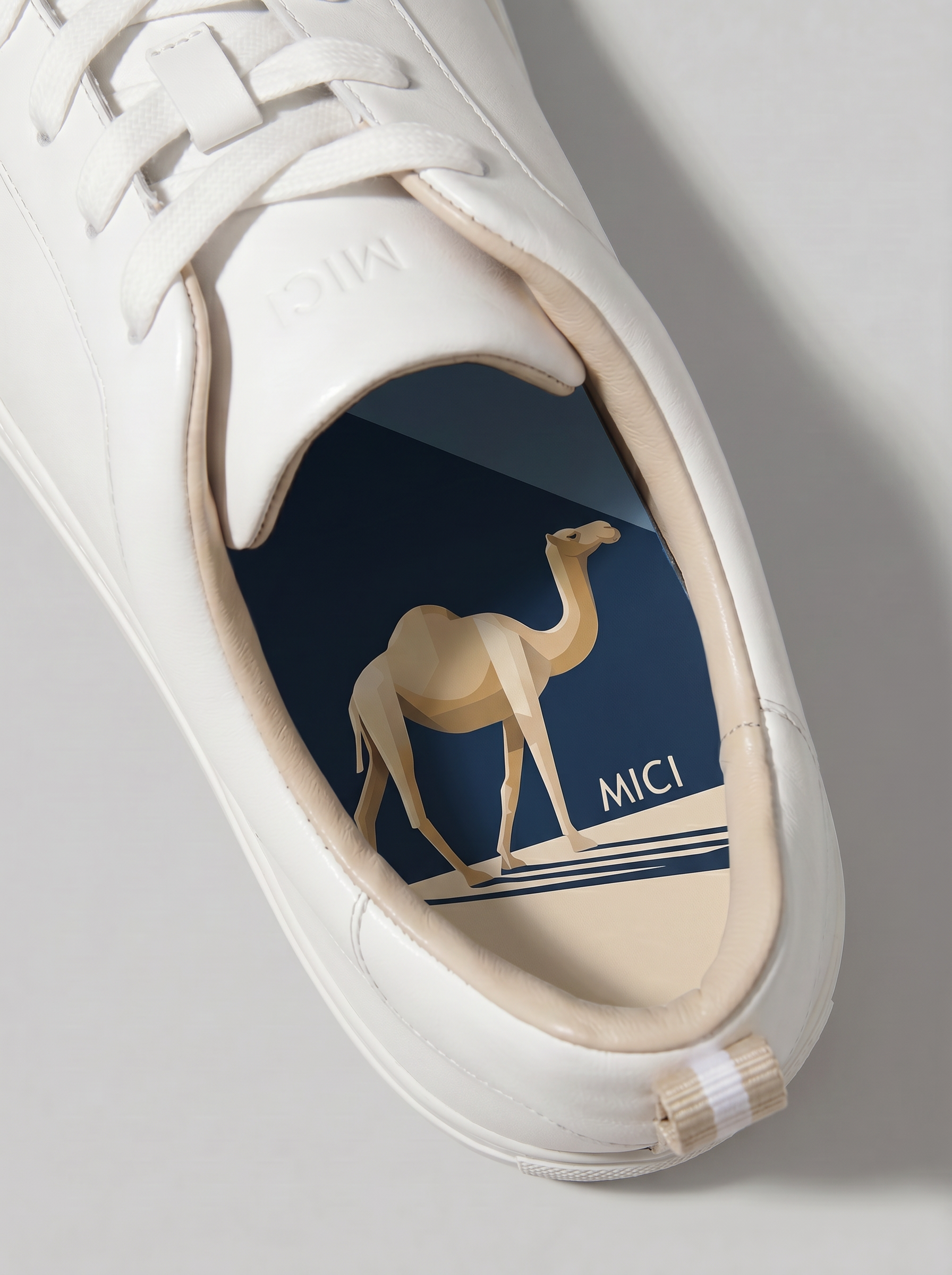 Sahir the Camel
