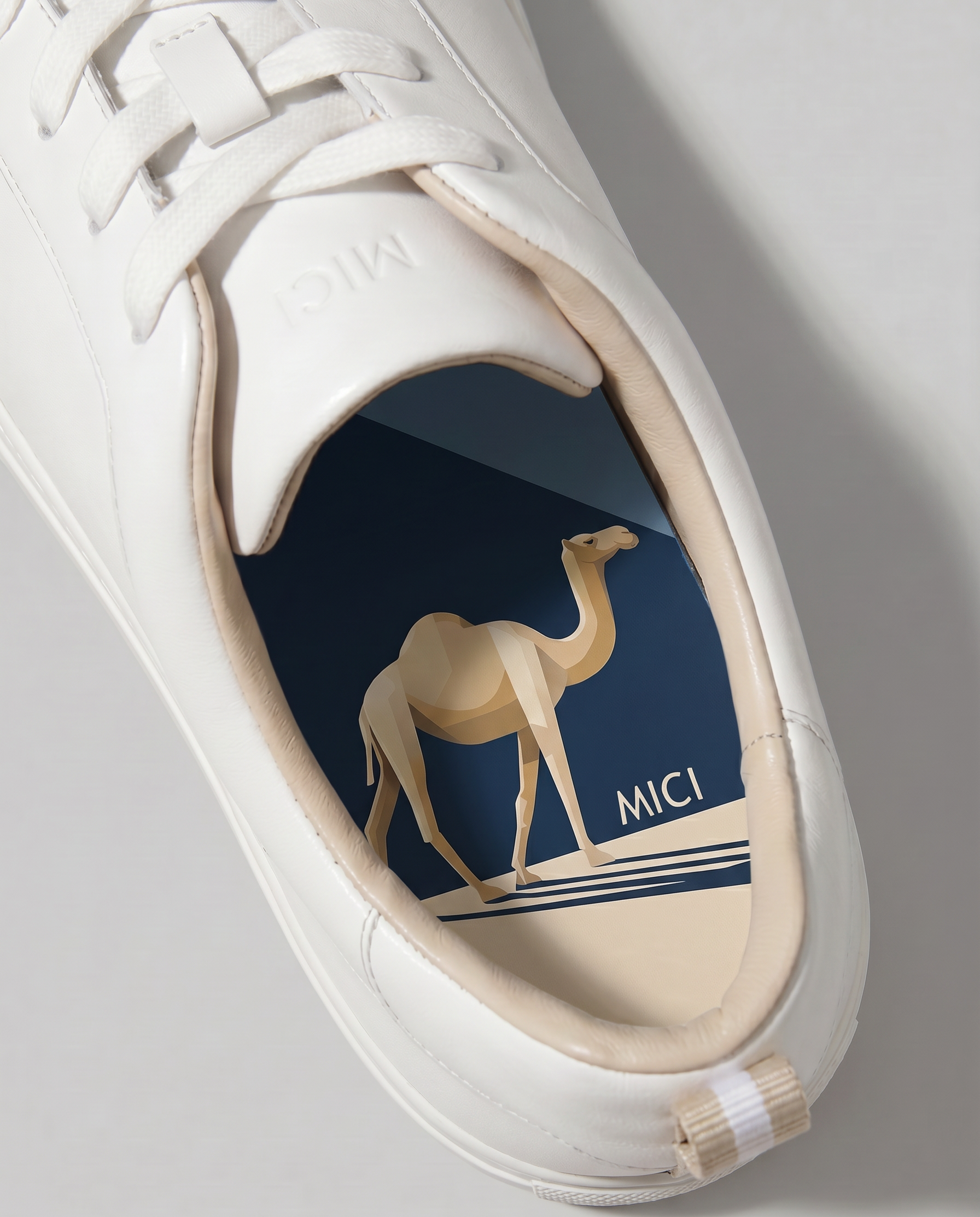 Sahir the Camel